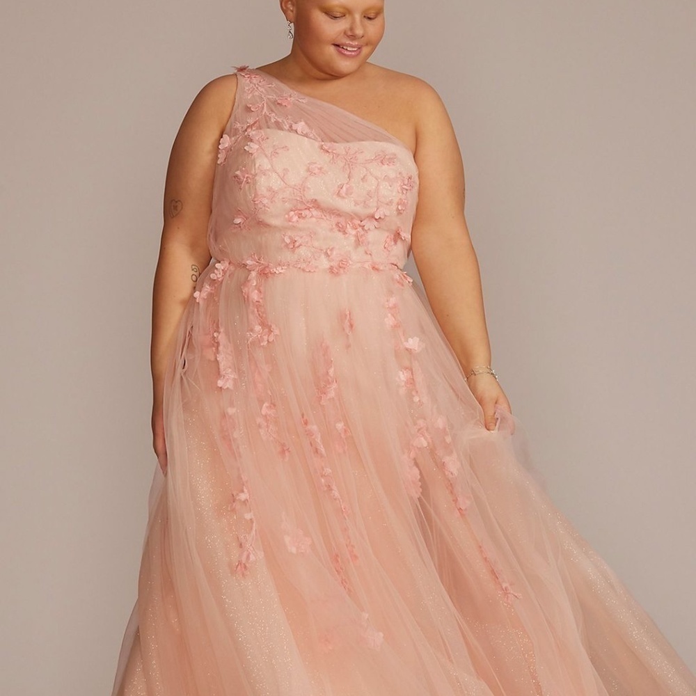 JULES AND CLEO Embroidered 3D Pink Floral One Shoulder Tulle A-Line Gown Sz 22.
